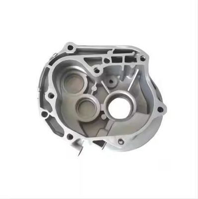 Partidas de fundición de precisión de hierro de acero inoxidable de espuma perdida de aluminio
